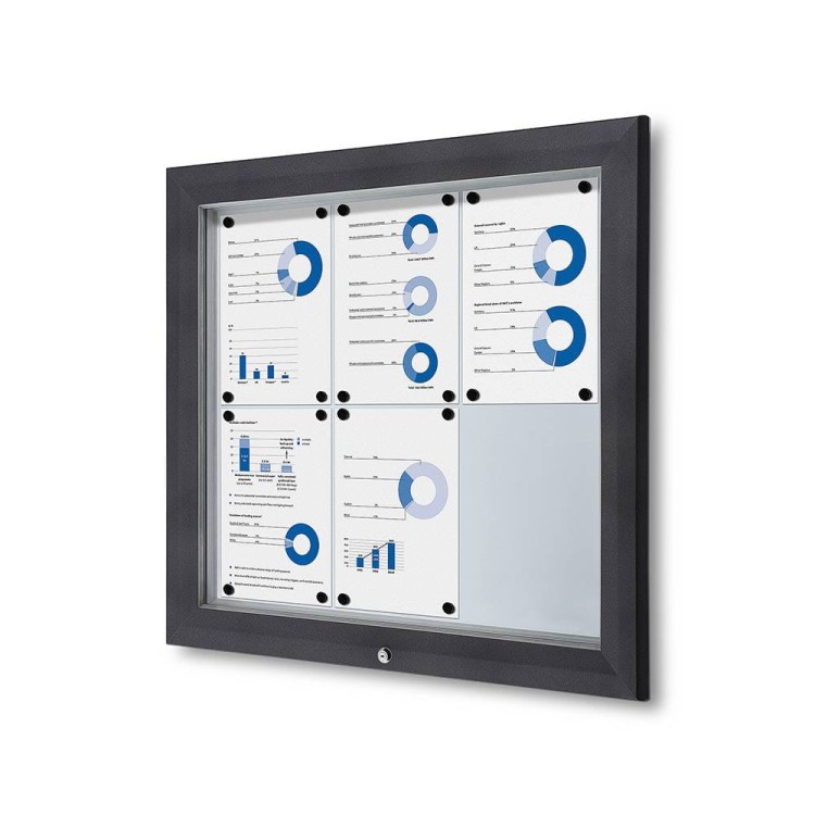 Zewnętrzna gablota magnetyczna typu T