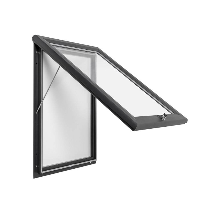 Zewnętrzna gablota magnetyczna typu T