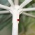 Parasol gastronomiczny 2,5m